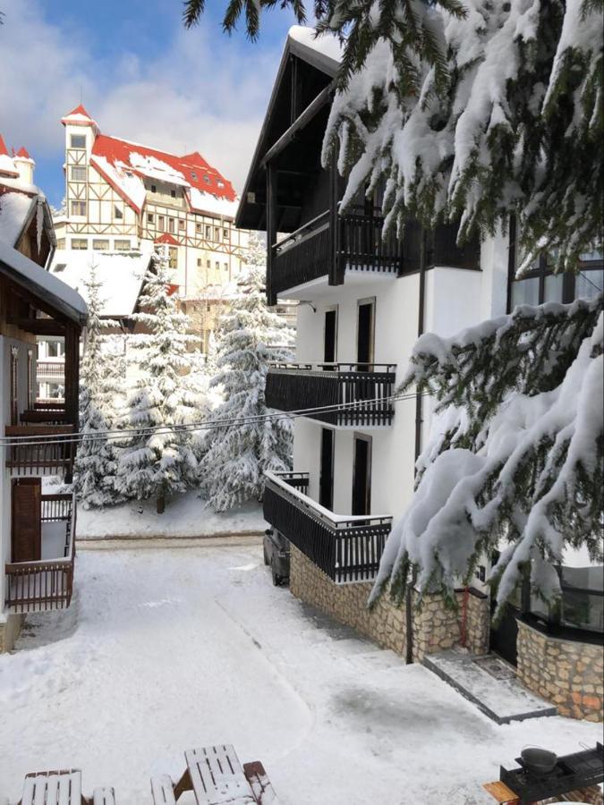 Montana Poiana Brasov