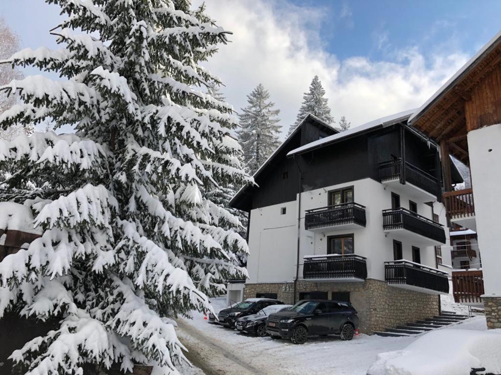 Montana Appartement *