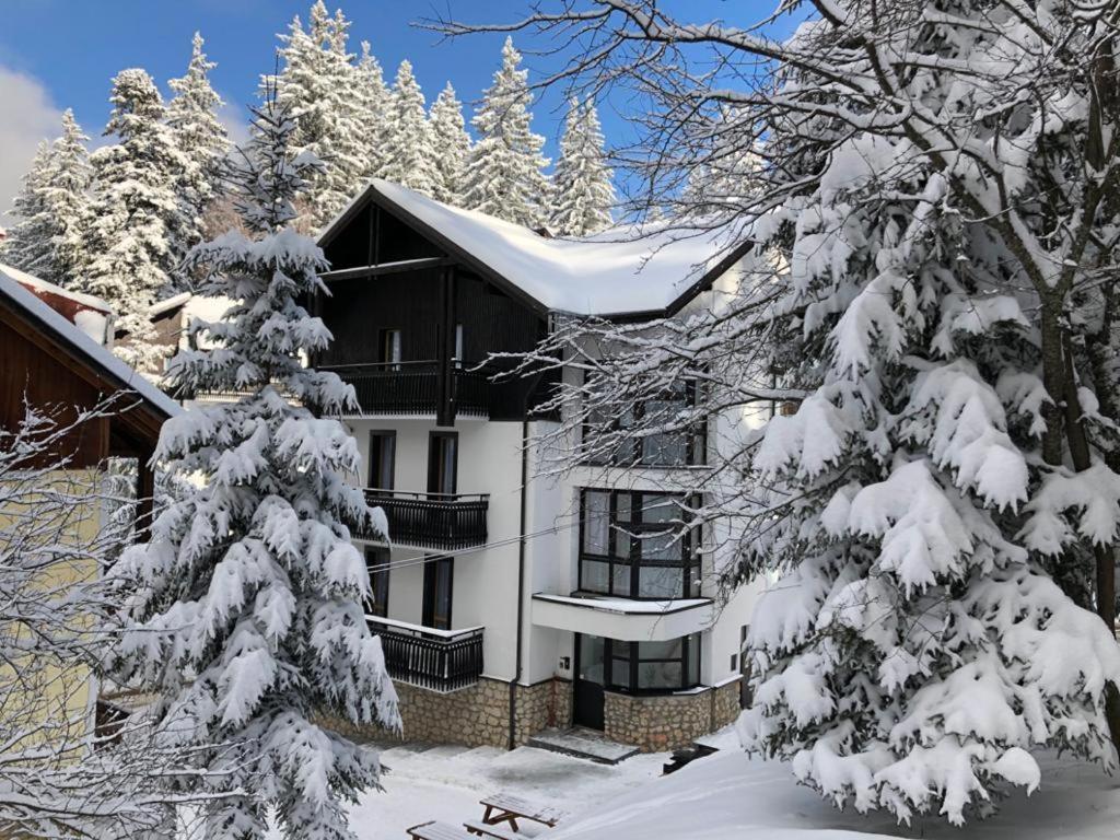 Appartement Montana Poiana Brasov