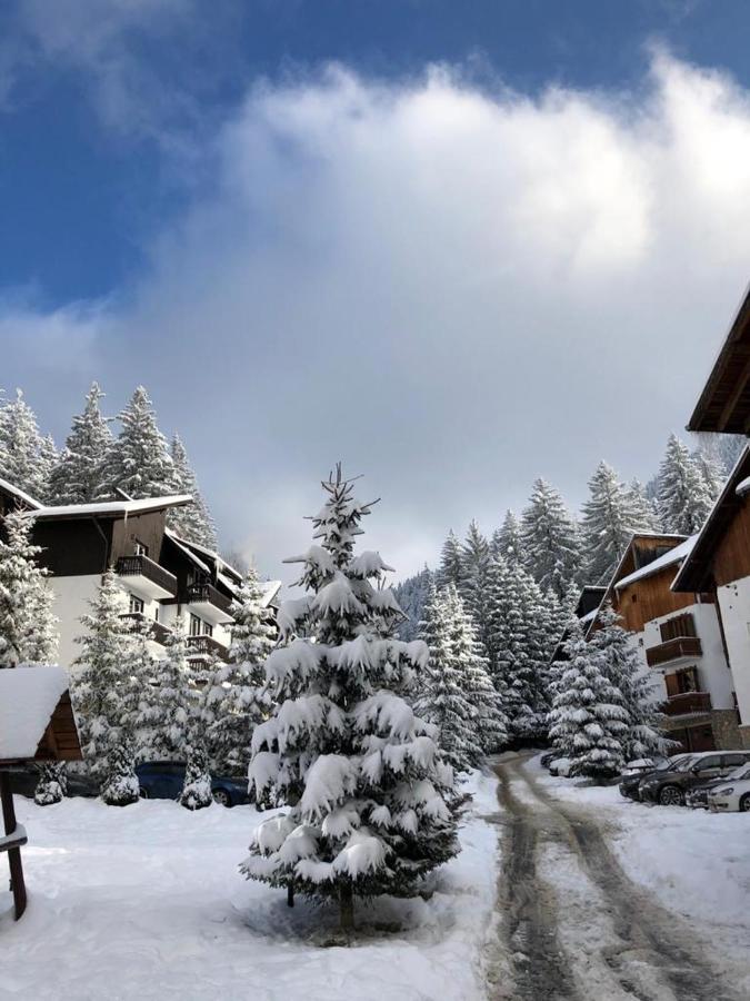 Montana Appartement