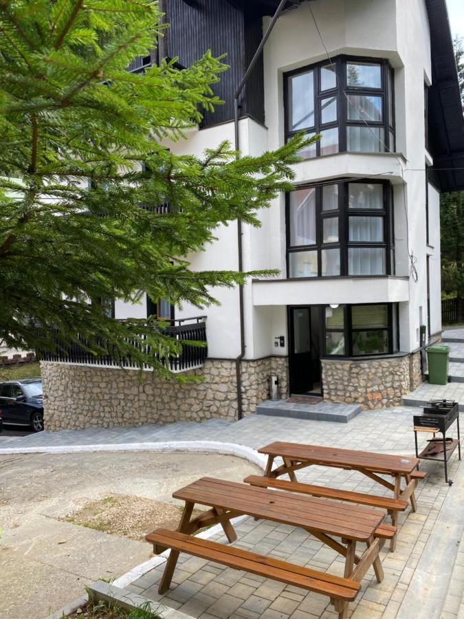 Appartement Montana *
