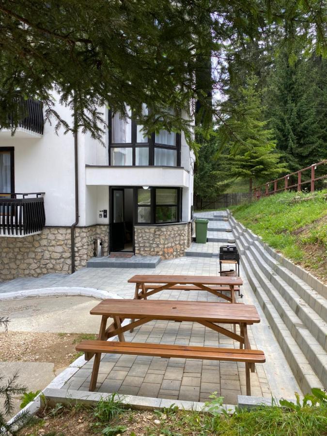 Montana Appartement *