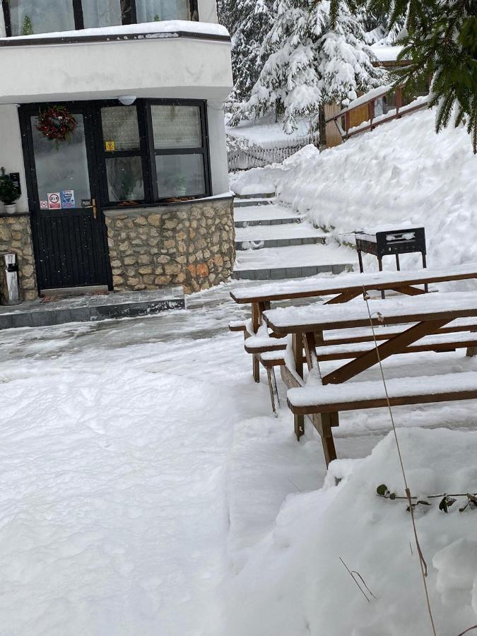 Montana Appartement Poiana Brasov