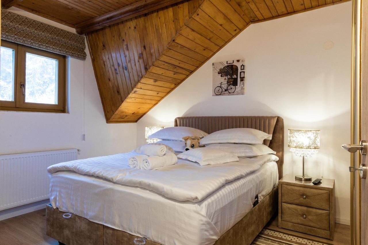 Montana * Poiana Brasov