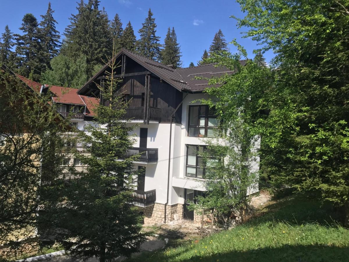 Montana Appartement Poiana Brasov