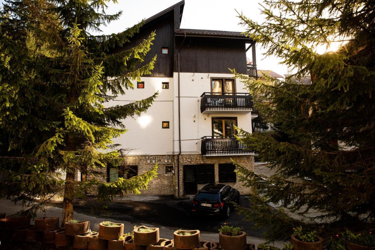 Montana * Poiana Brașov